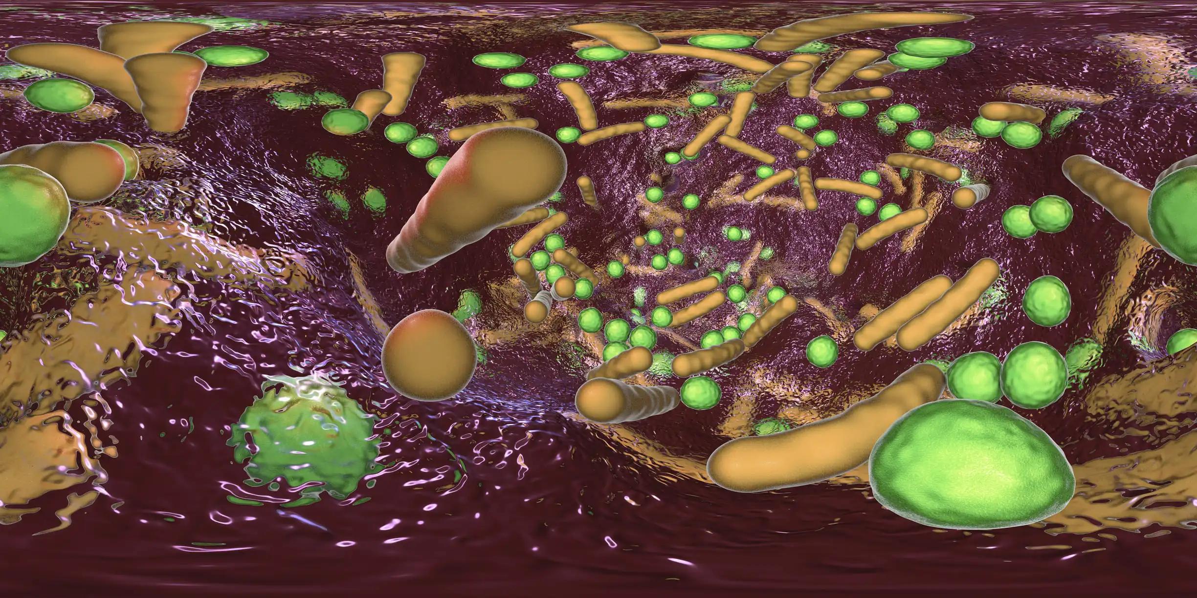 360-Degree Spherical Panorama of Bacterial Biofilm