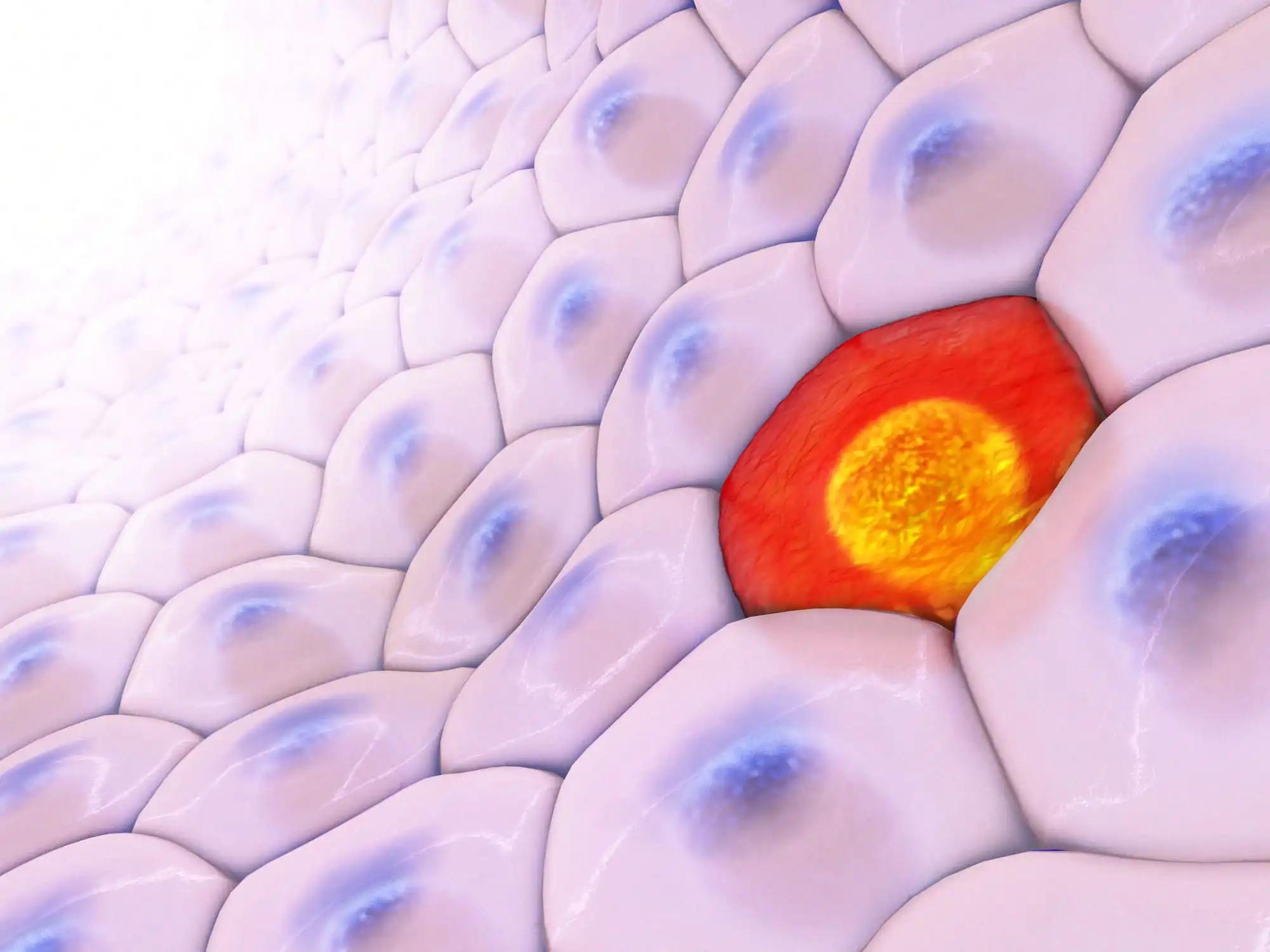 3d illustration of Frontal View on Cell Pattern With on Red Cell