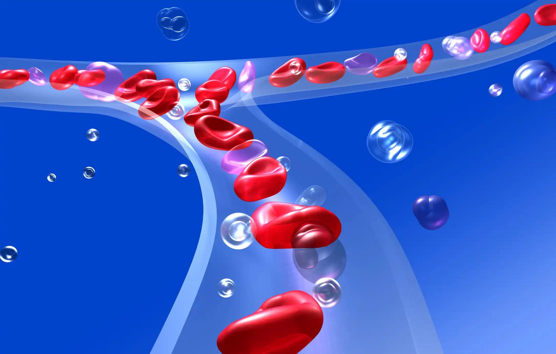 3d illustration of Red Blood Cells in Blood Circulation