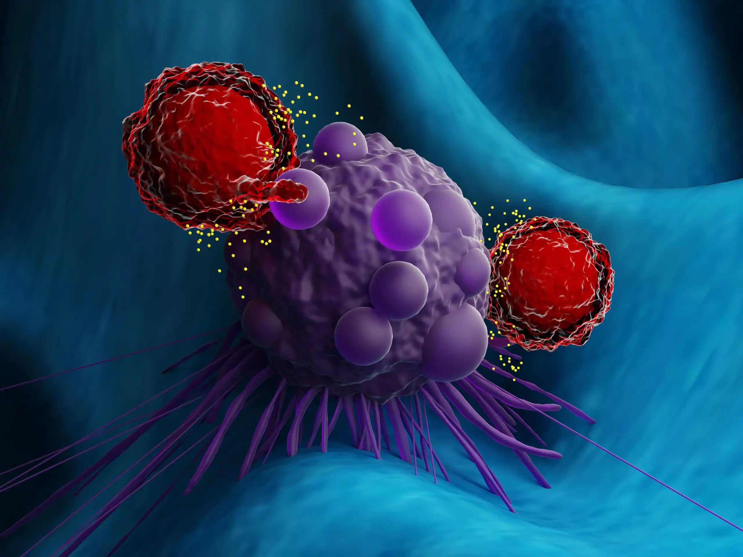 3D View T Cells to Tumors