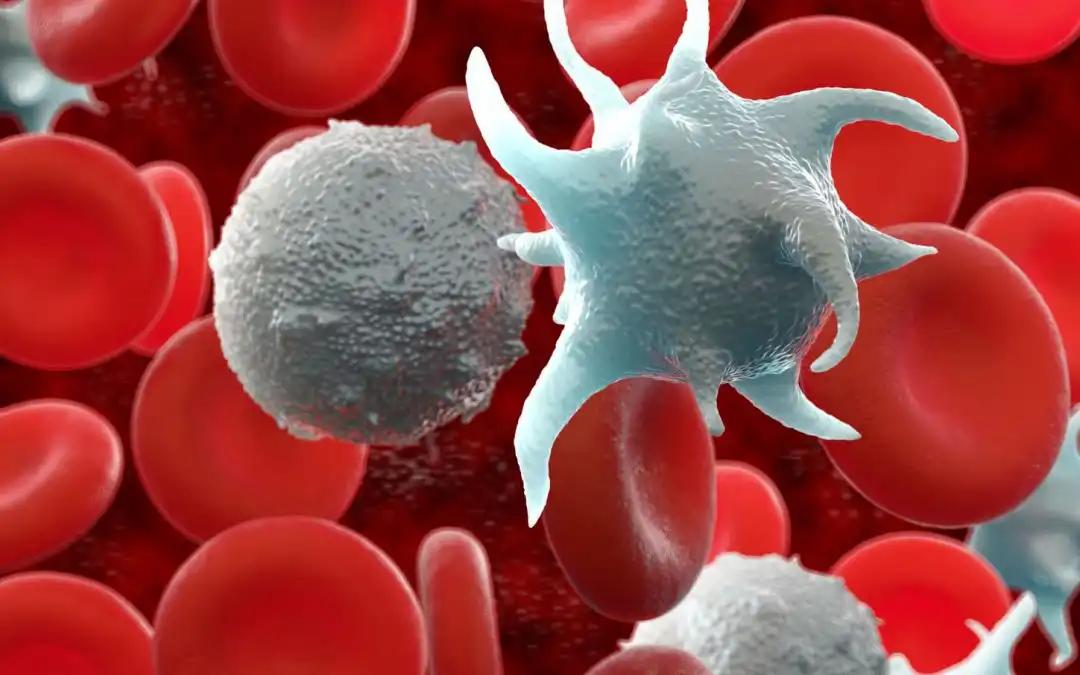 Epcoritamab Shows Promise in RT: EPCORE CLL-1 Trial