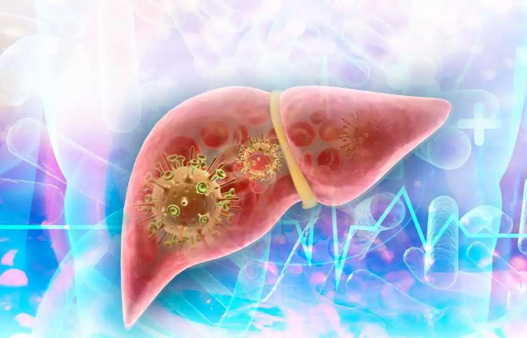 Liver Cancer Cells Growth