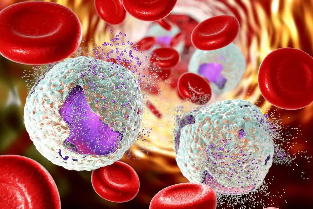 3D Illustration of Acute Lymphoblastic Leukemia Cells