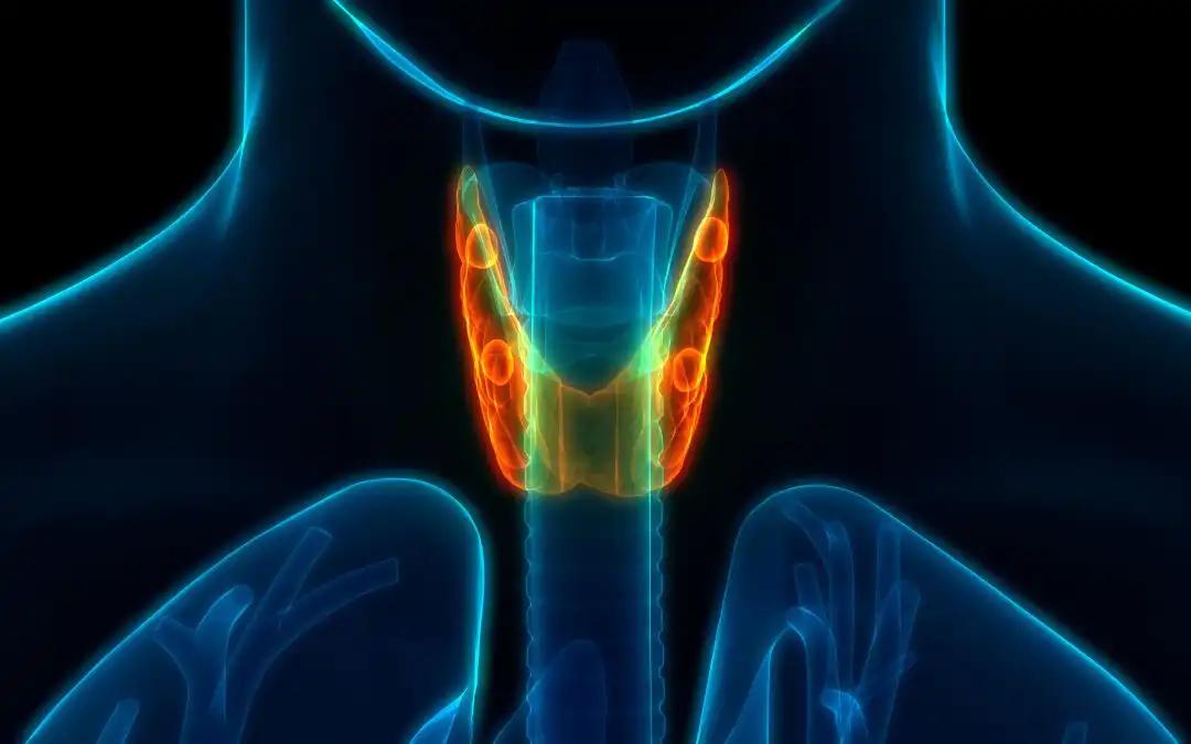 TyG and METS-IR as Predictors of Esophageal Cancer Risk