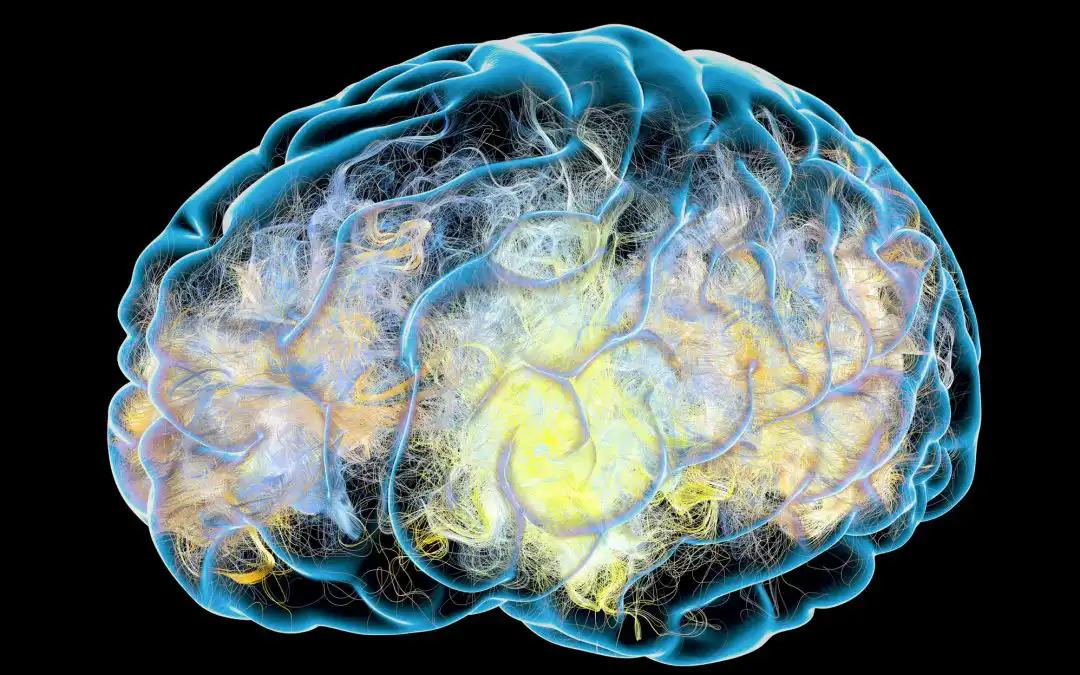 BED as a Predictor for Local Control in Parasellar Meningioma