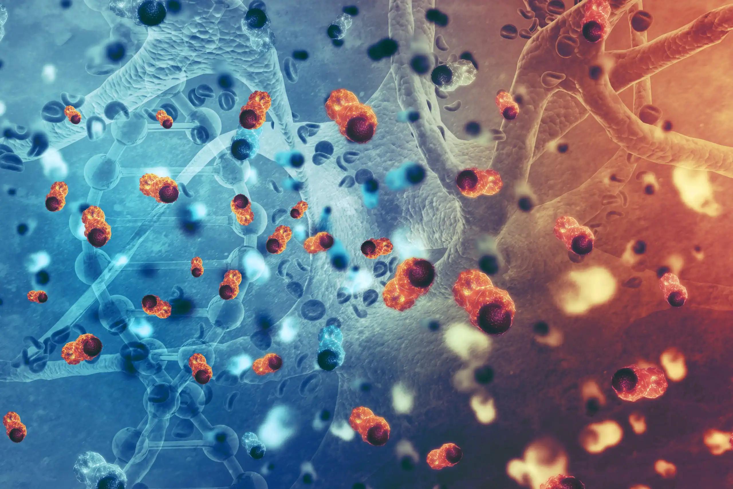 Cancer Immune Cells 3D