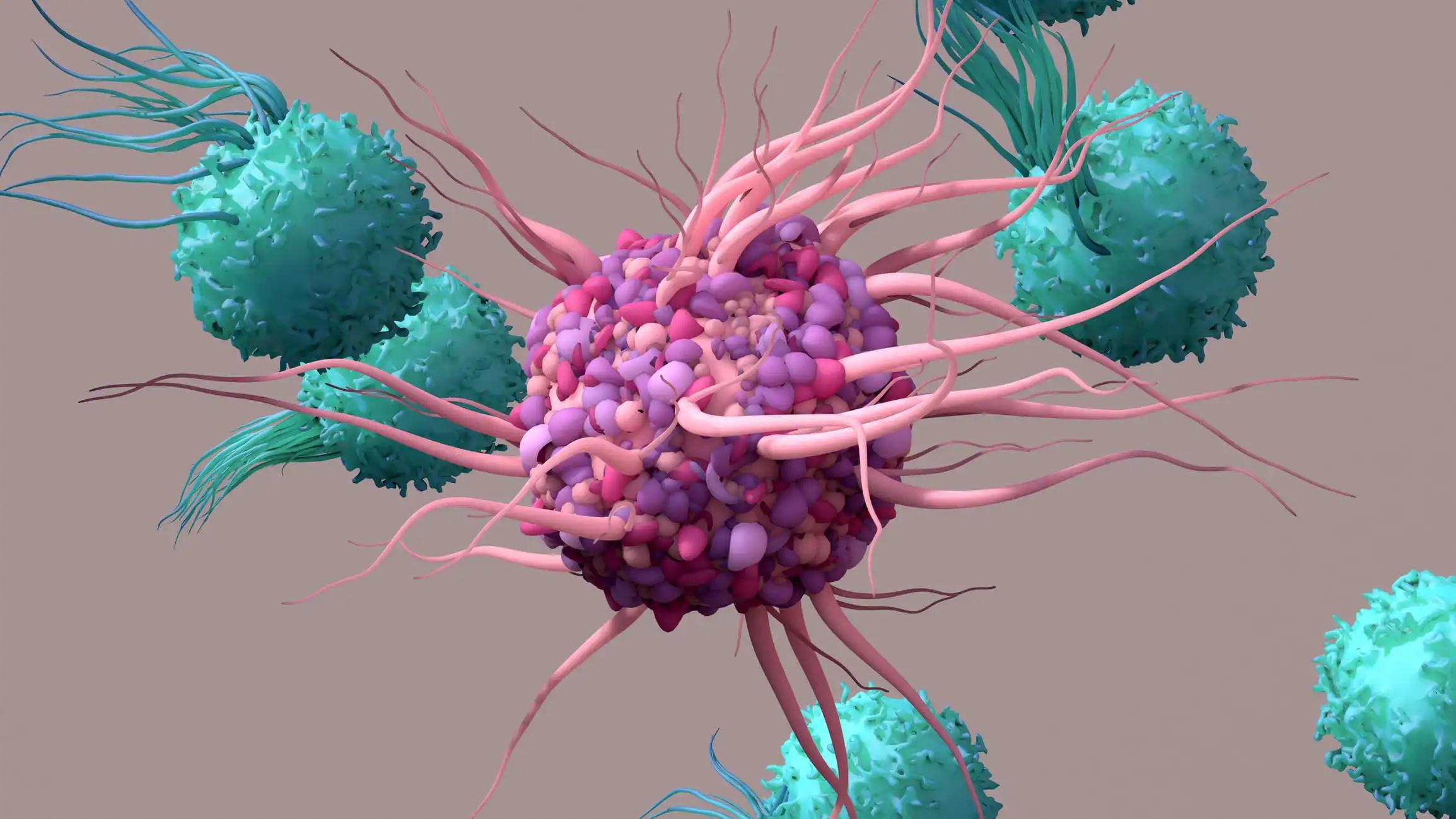 Immune Cells Therapy kills Myeloma Cancer Cells