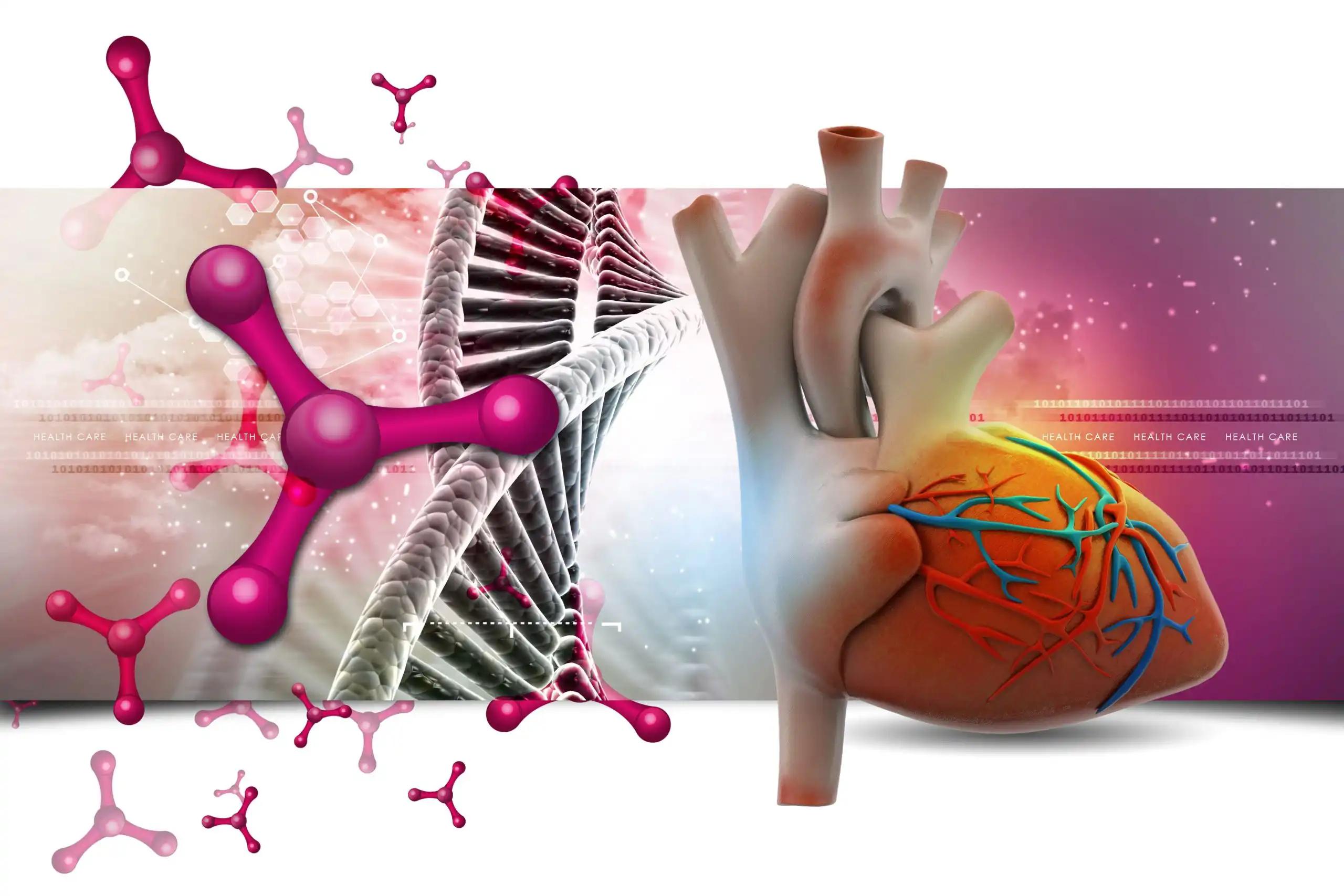 Role of DNA in Heart Health