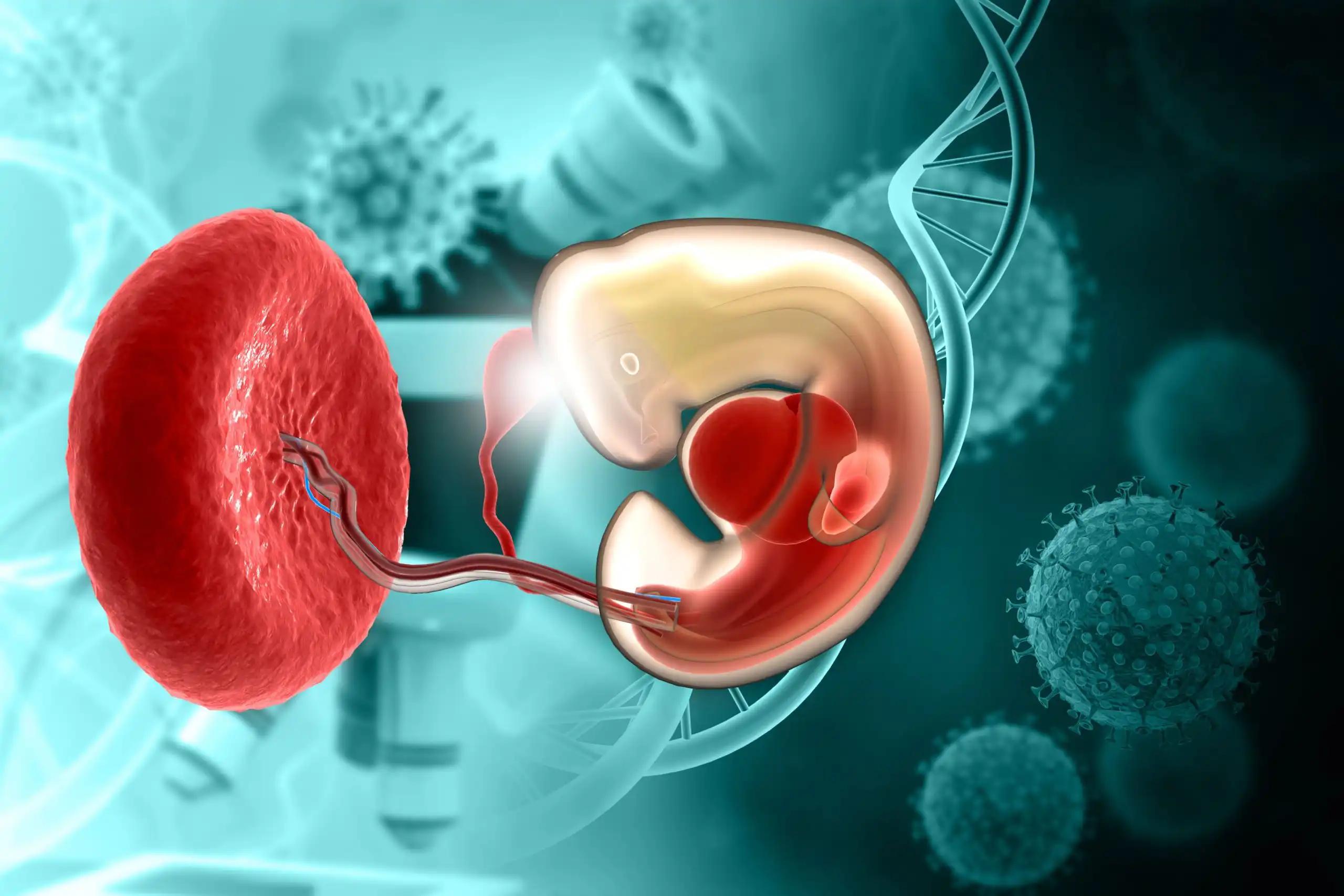 Treatment for Urothelial Carcinoma Patients