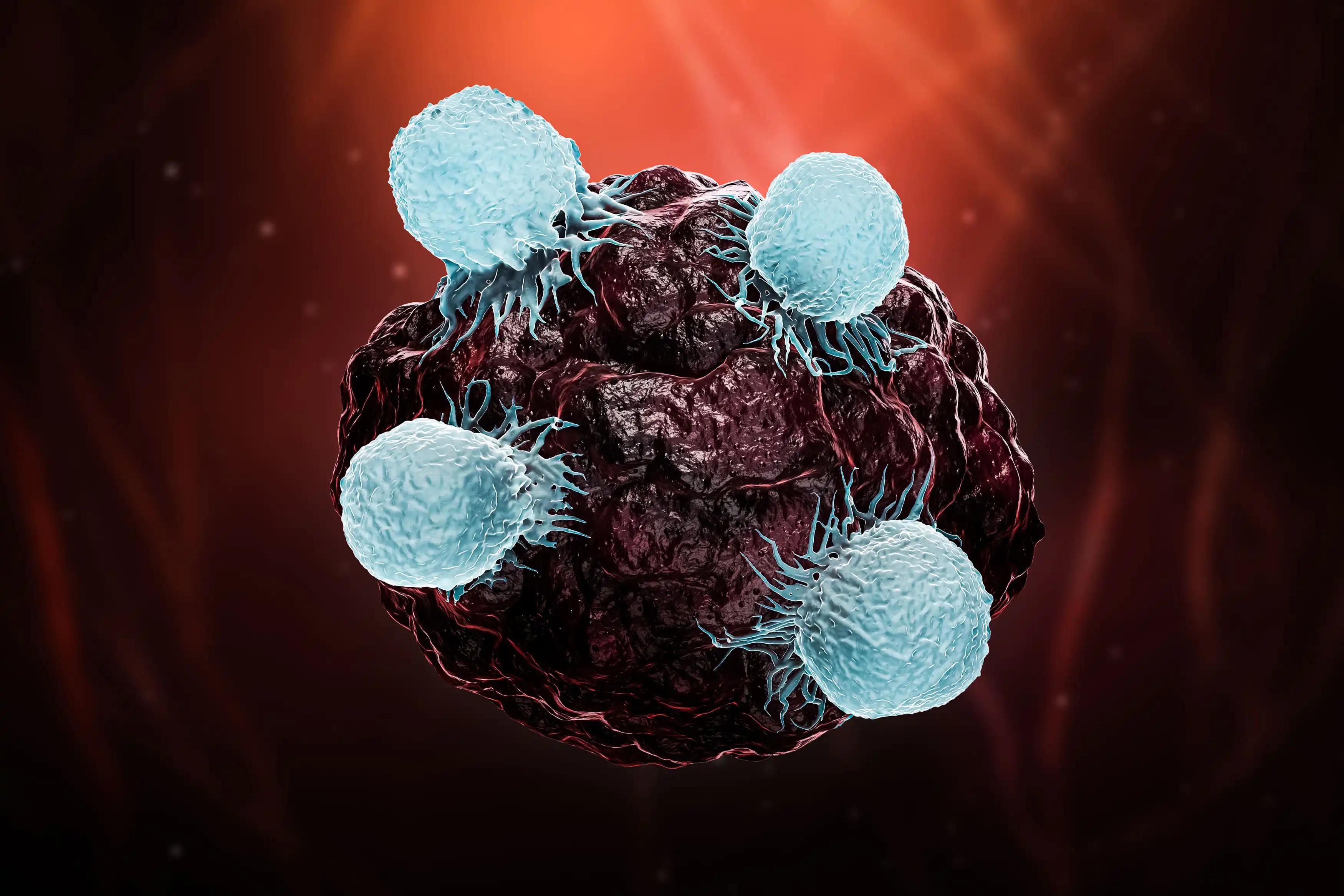 White Blood Cells and Sarcoma