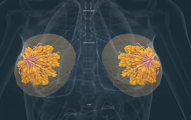 Second-Line Treatment for Breast Cancer