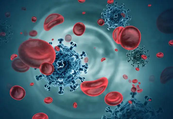 3d illustration of Coronavirus Cells in Bloodstream