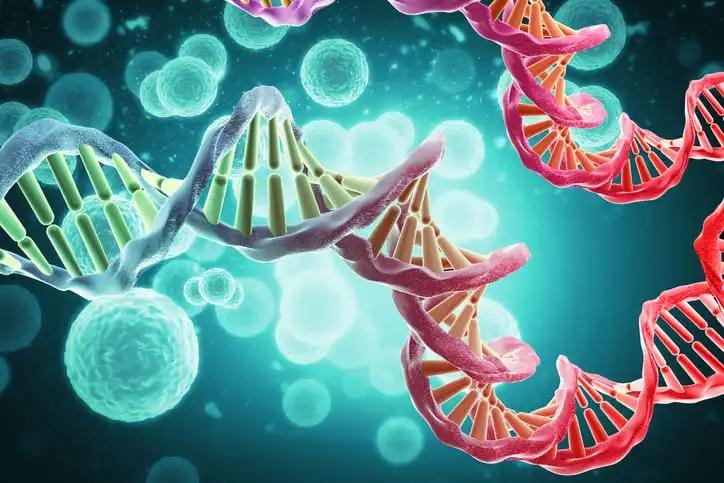 3d illustration of DNA Molecule Medical and Heredity Genetic