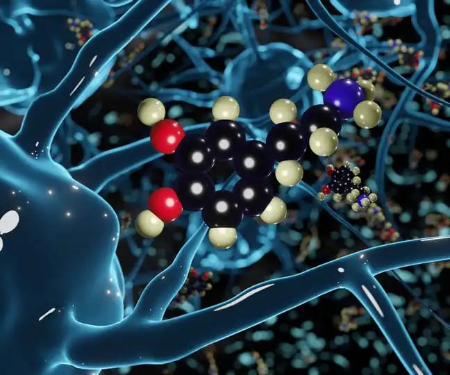3d Rendering Neuron Brain Cells Release Dopamine Molecules 
