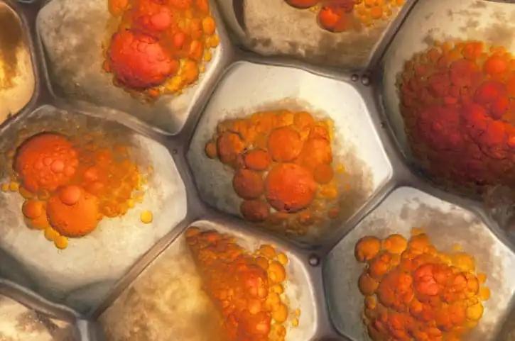 3D View of Beautiful Living Cells