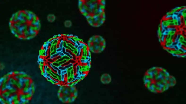 3D View of Dengue Virus