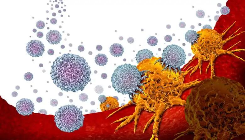 An illustration of how immunotherapy attacks cancer cells