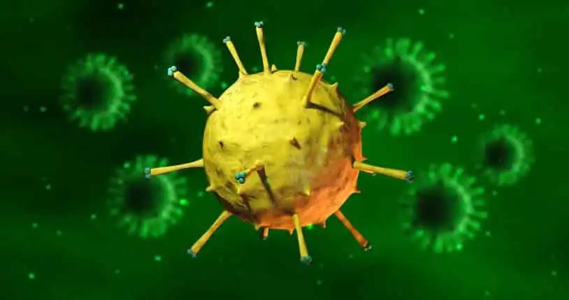 Microscopic View Of 3D Virus And Bacteria