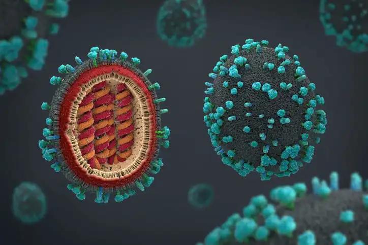 representation of a flu pathogens