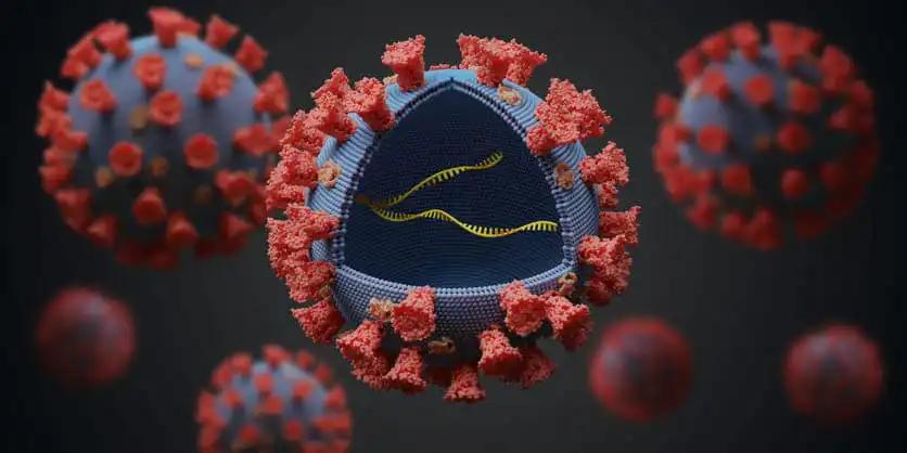 SARS-Cov-2 Lineages and Effect of Vaccination