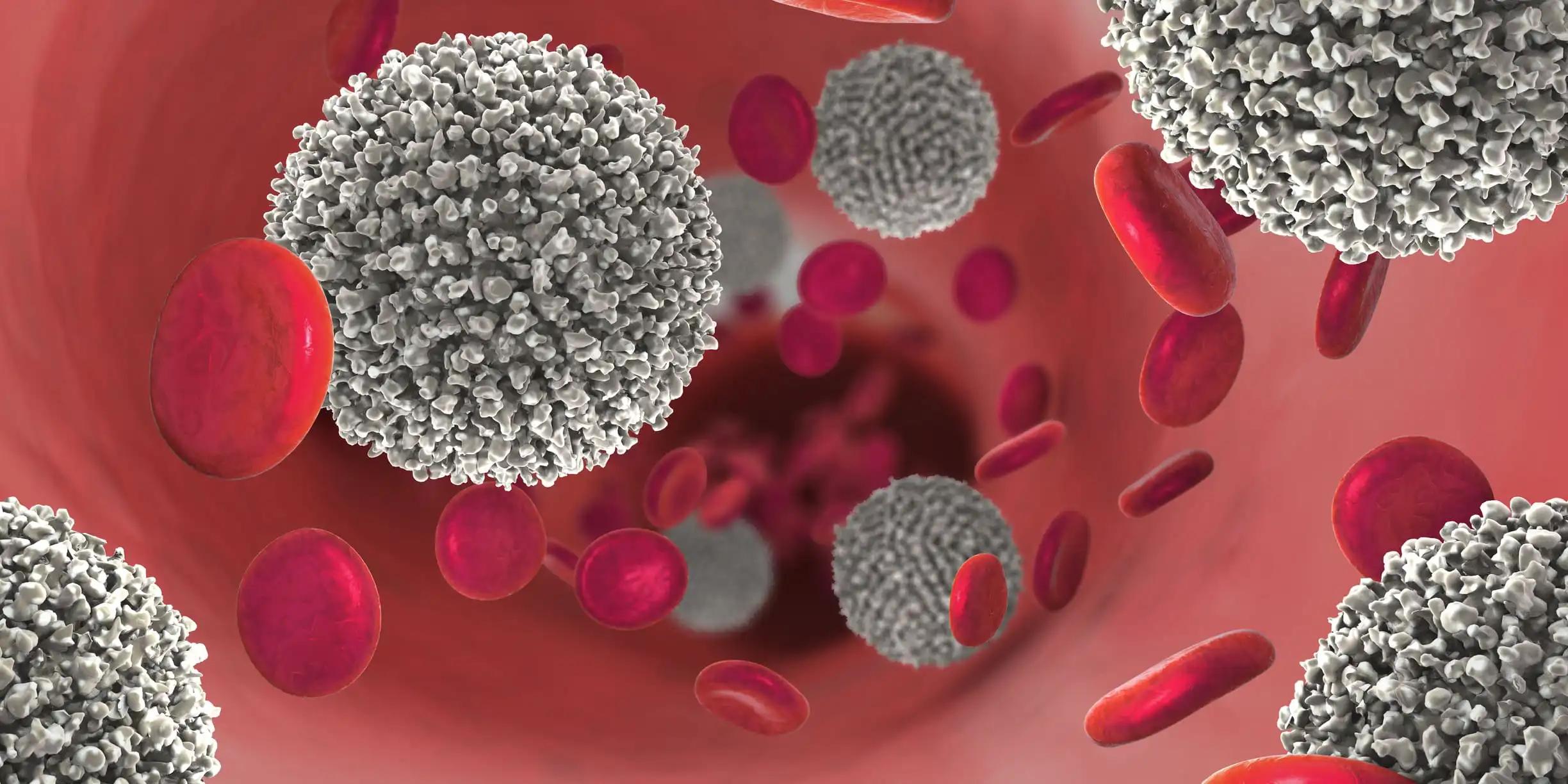 3D illustration of White blood cells and Immunotherapy lymphocyte cells
