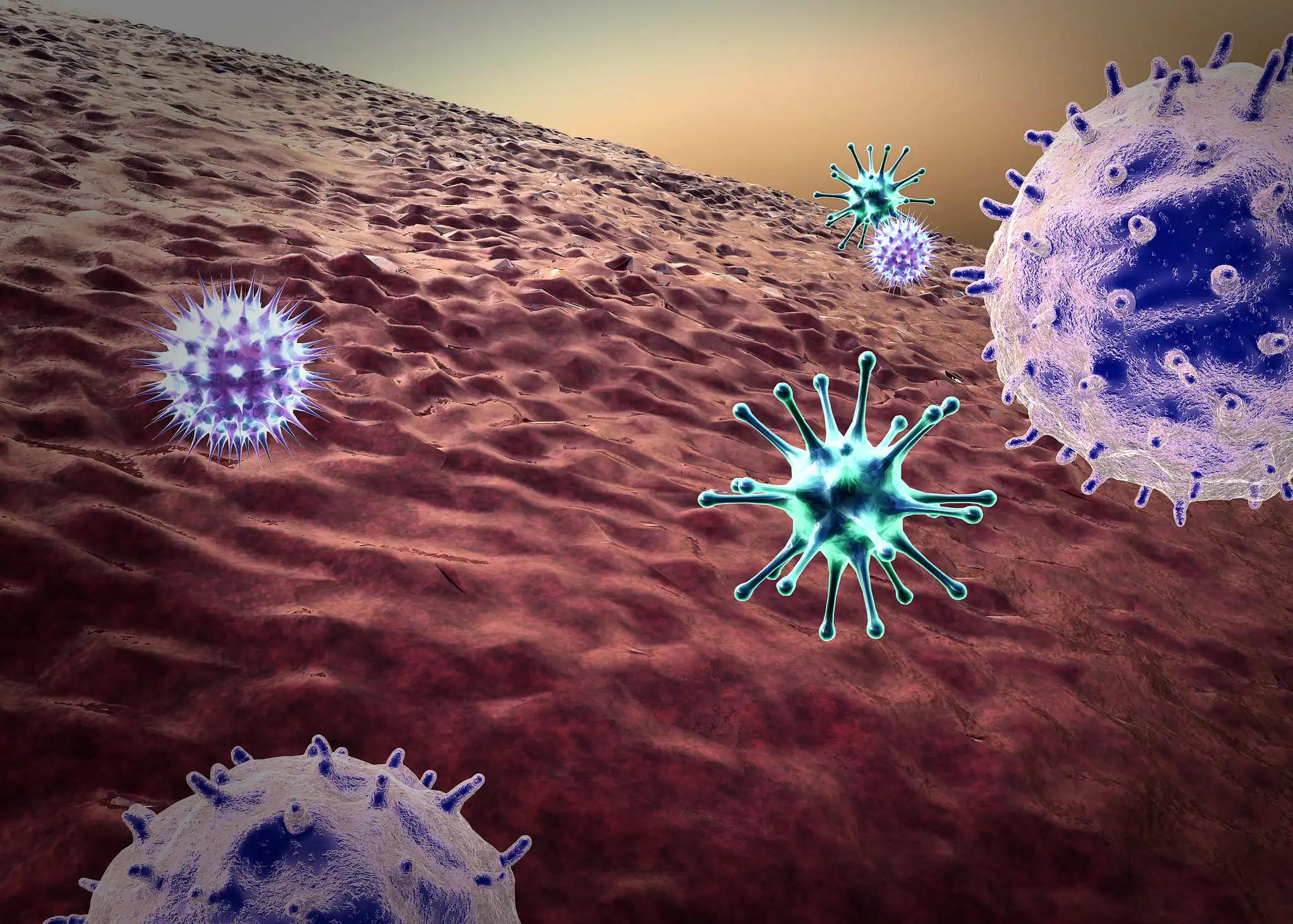 3D View of Lymphocytes Taking Down the Flu virs