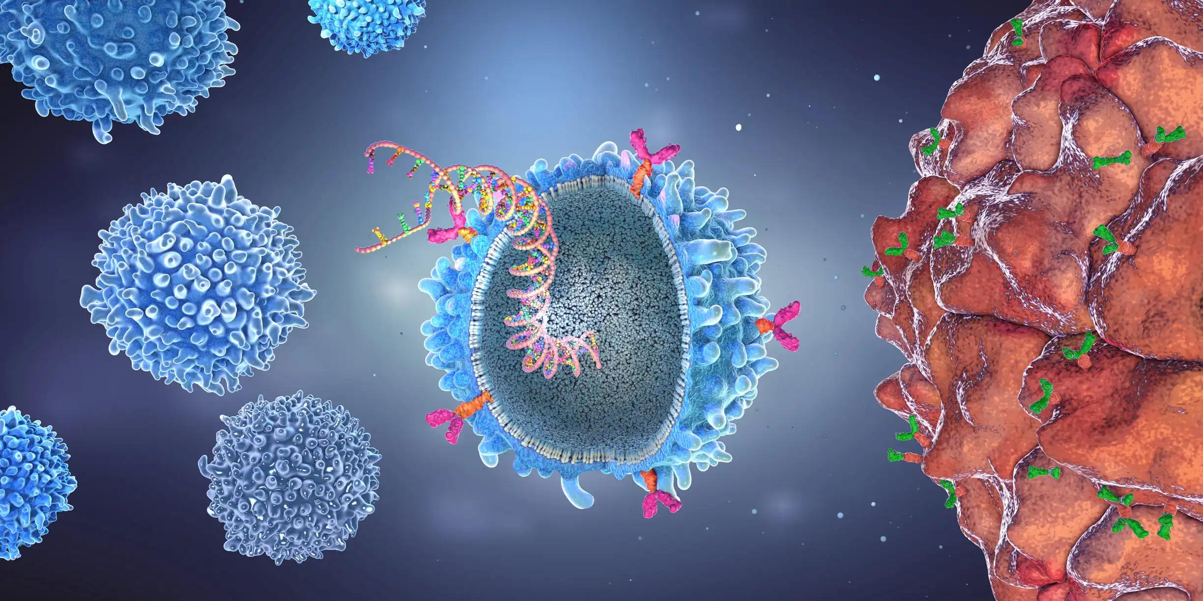 illustration of a genetically modified CAR T-cell