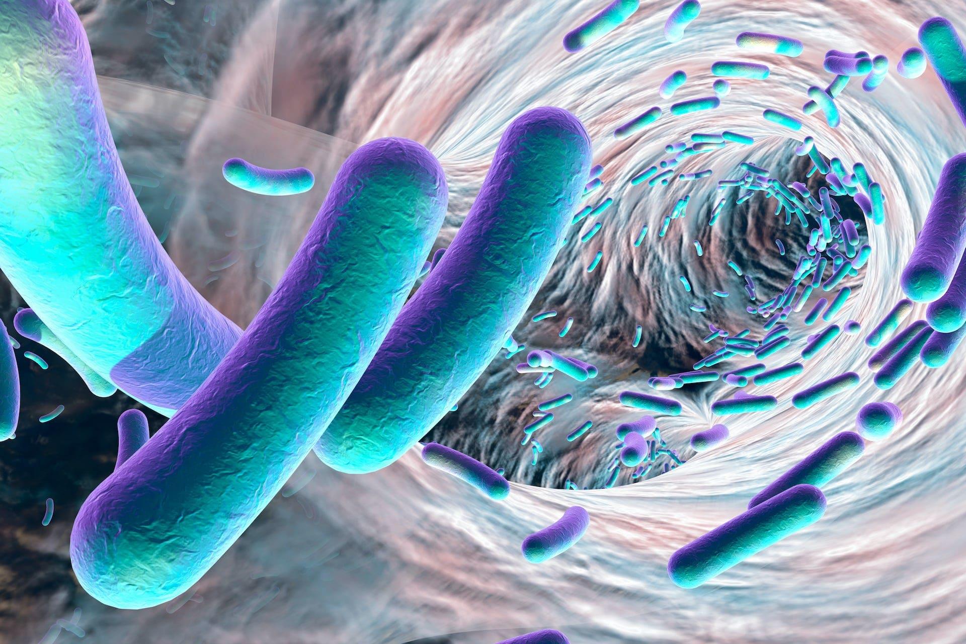 3D illustration of Biofilm of Antibiotic Resistant Bacteria
