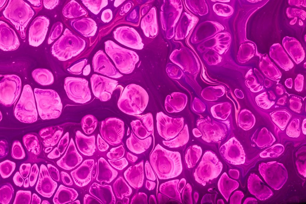 Coriolus Versicolor Vaginal Gel for Cervical Cancer
