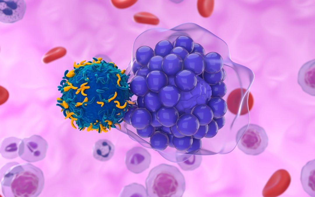 rH Impacts M2 Macrophage Polarization & PAR-1 DLBCL Macrophage