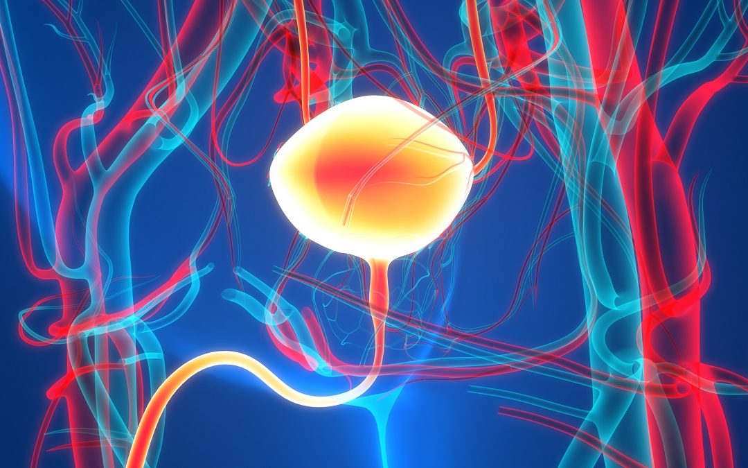 DECT and Radiomics Models Predict Muscle Invasion in BCa